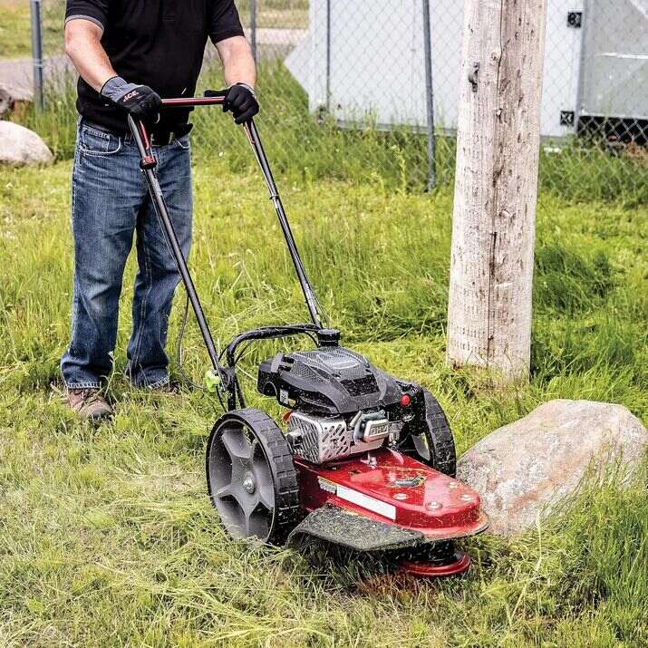 Earthquake 40314 Walk-Behind String Trimmer Mower 160cc Viper 4-Cycle 22" Cutting Width - The Lawn Market Store
